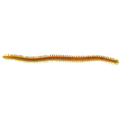 Centipede-Style_Clam_Worm-Orange
