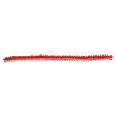 Centipede-Style_Clam_Worm-red