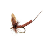 Mayfly Bionic Dry Fly