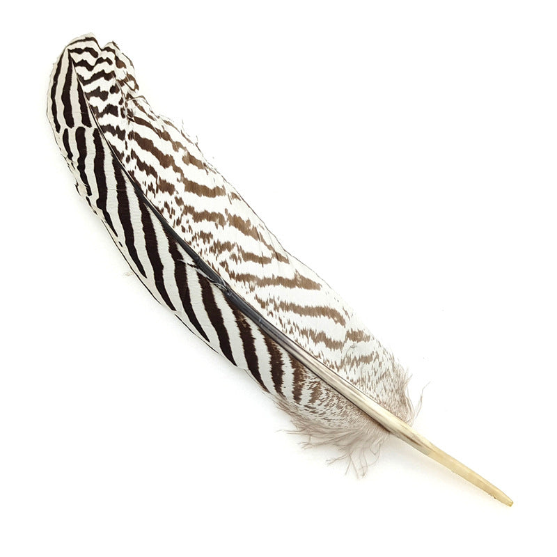 Silver Chicken Nest Feather