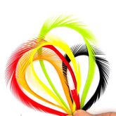 Goose Single-Sided Feather