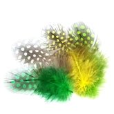 Spotted Feather-Mosquito Wing