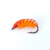 Czech Pill Bug Nymph