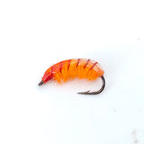 Czech Pill Bug Nymph