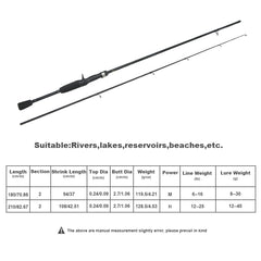 Bass Casting Rod