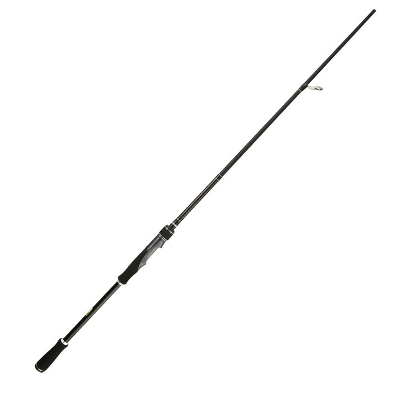 Double Tips Bass Spinning Rod