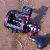 Line Counter Horizontal Trolling Reel  3+1 SS Bearings