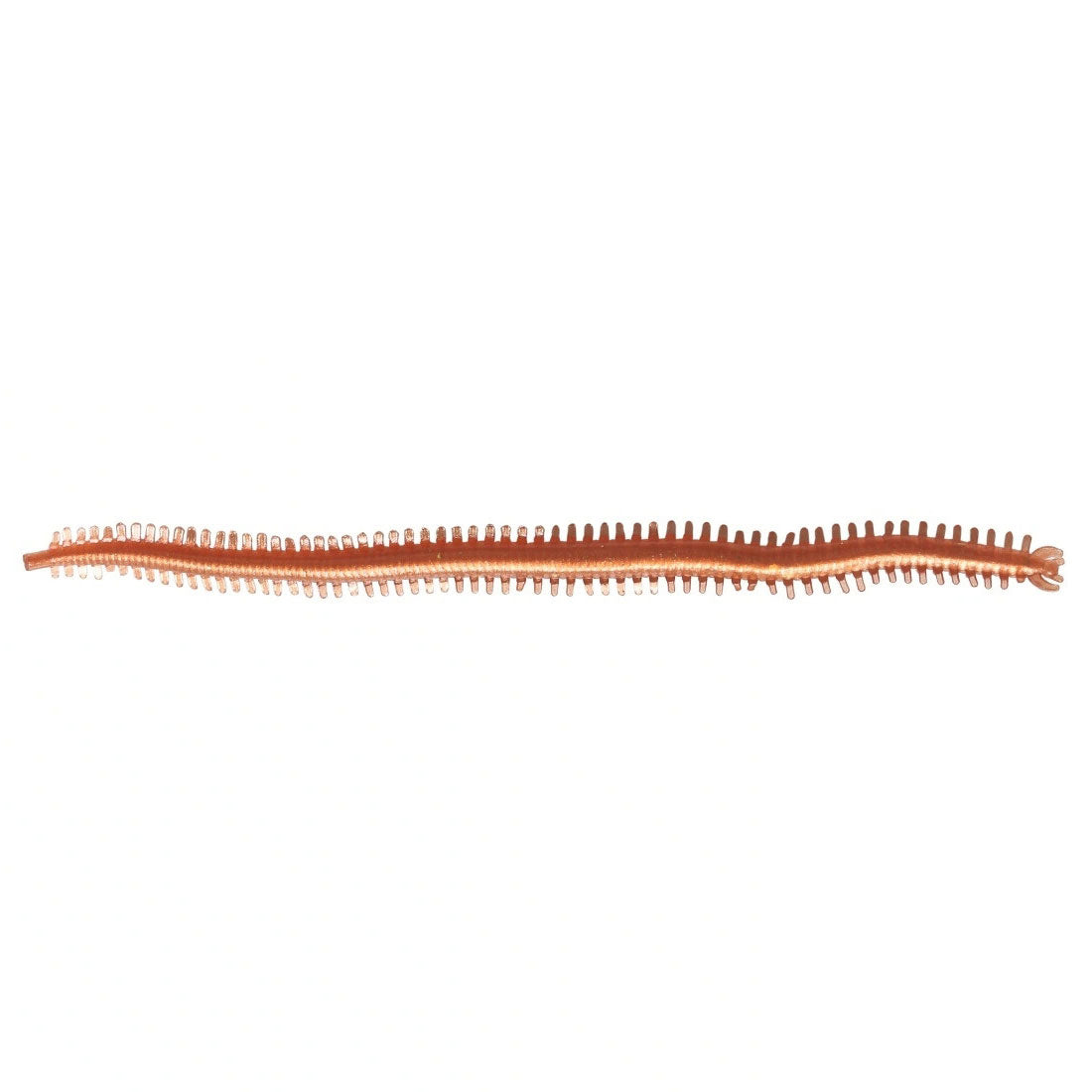 Centipede-Style_Clam_Worm-Brown