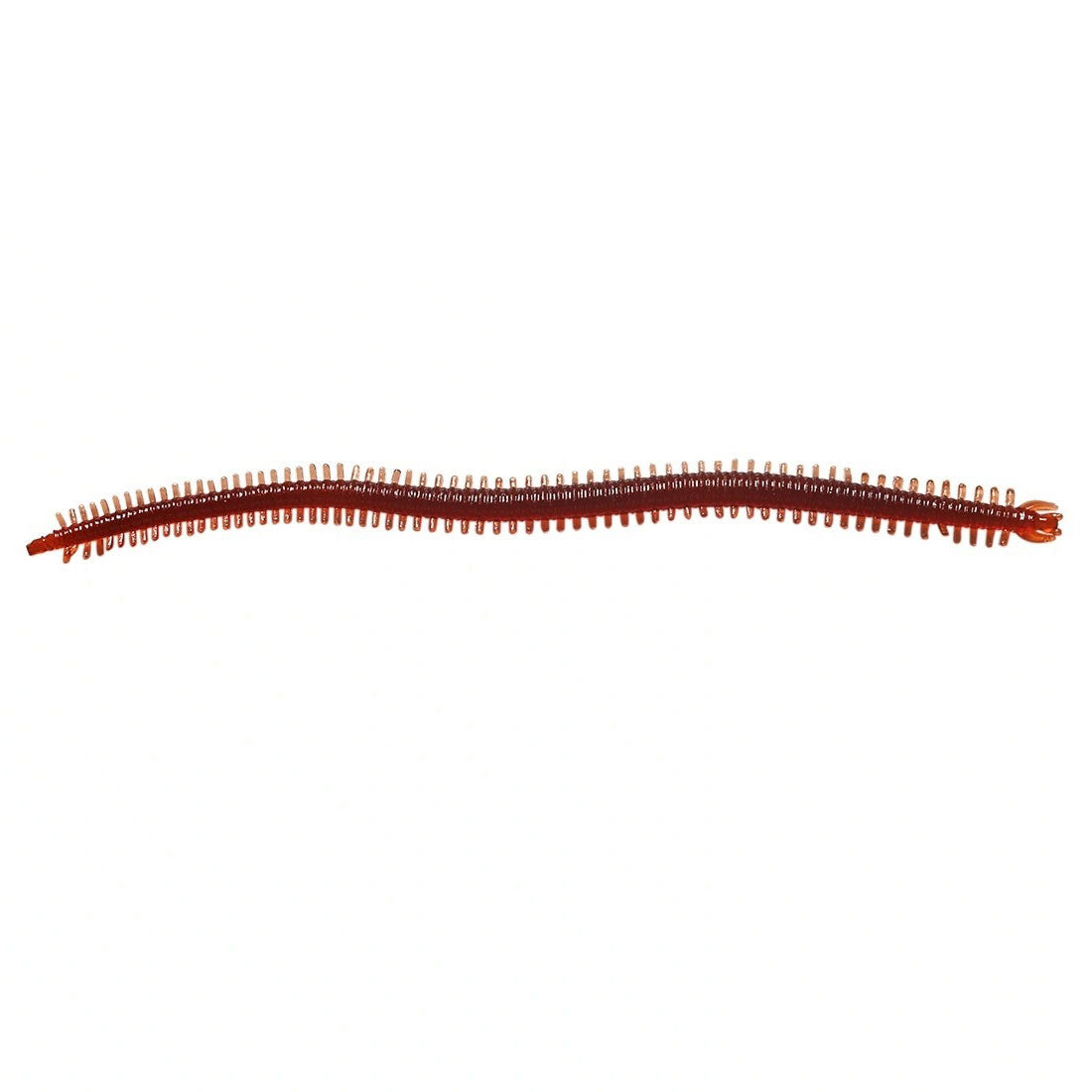 Centipede-Style_Clam_Worm-Dark-red