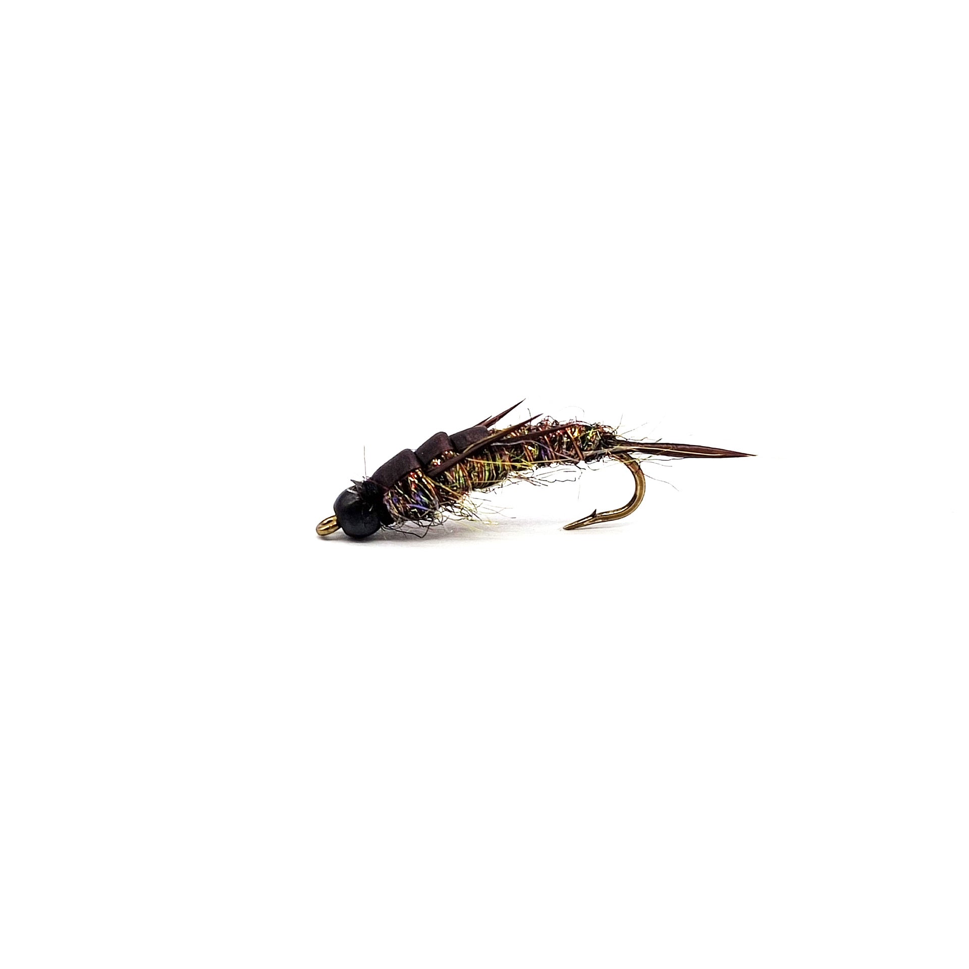 Stonefly Nymph
