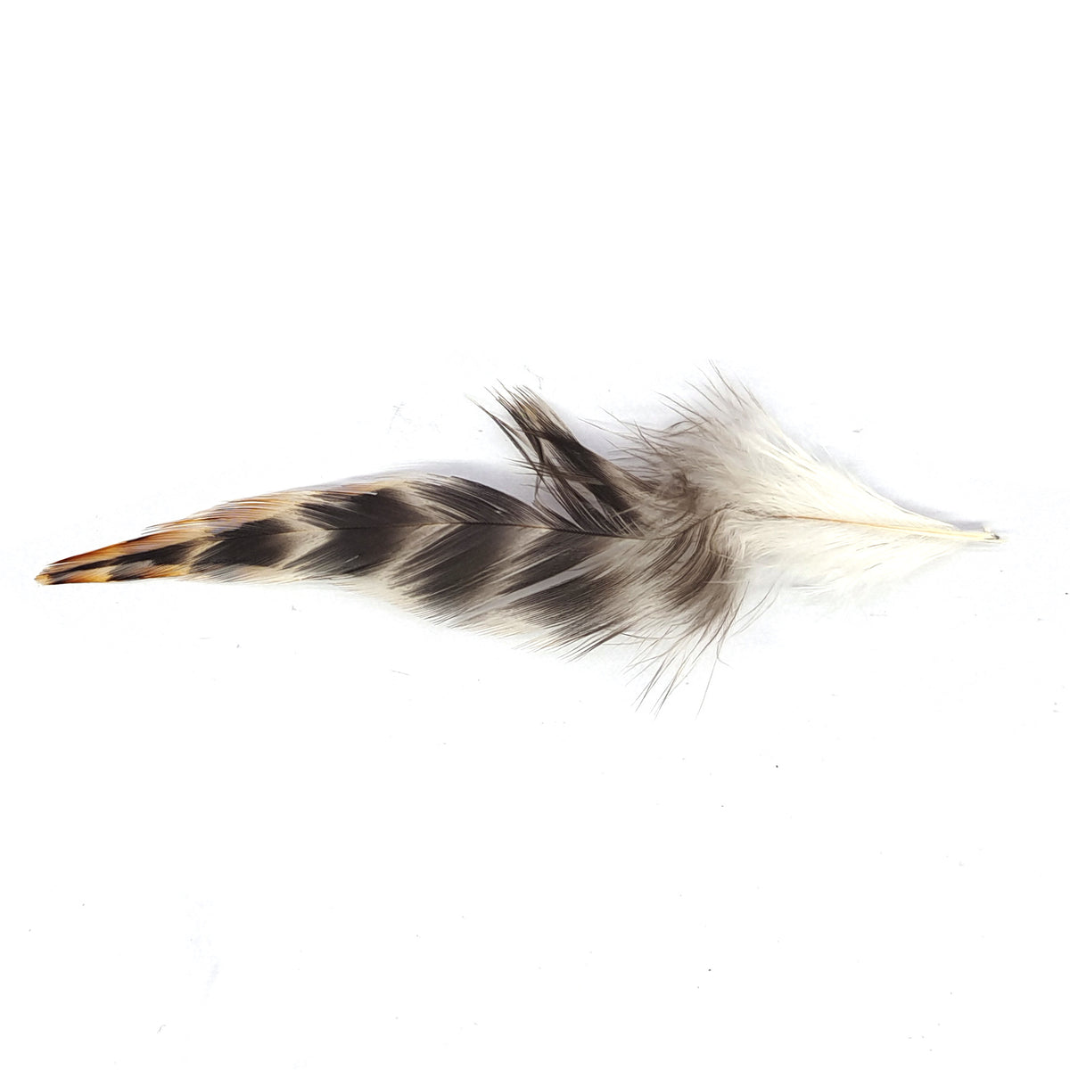 Speckled Neck Hackle