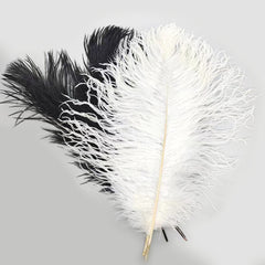 Ostrich Feather