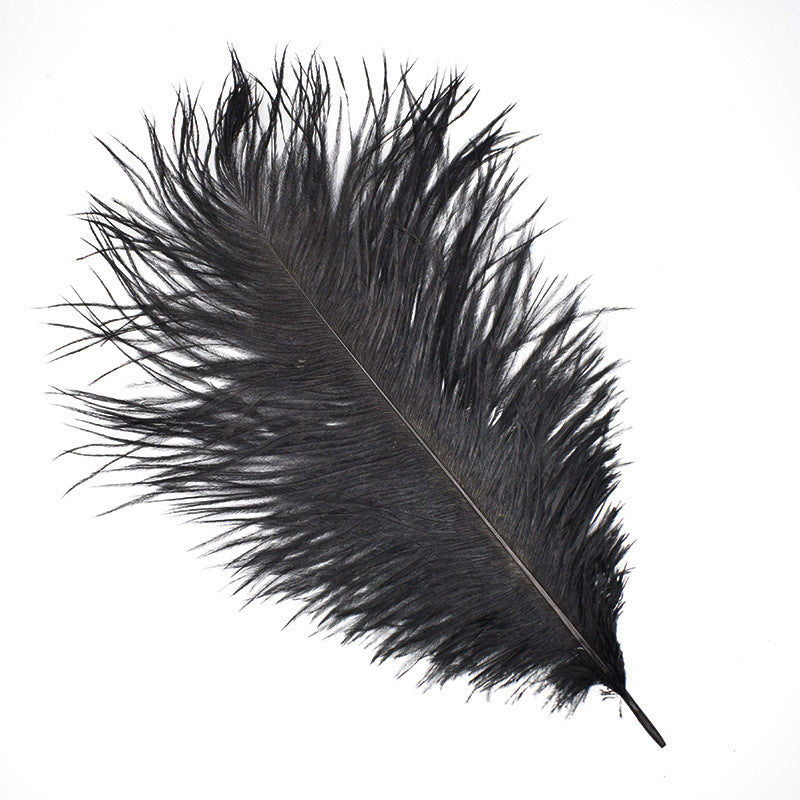 Ostrich Feather