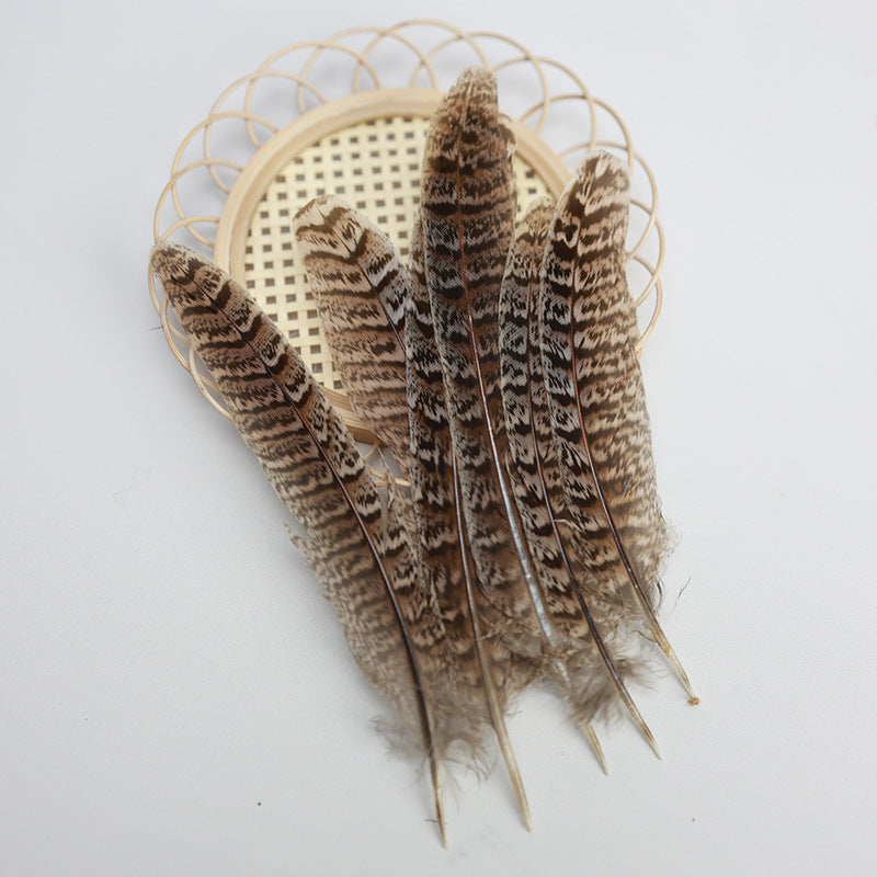 Hen Pheasant Tail Feathers