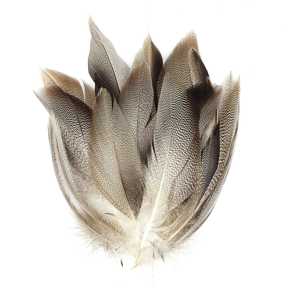 Wild Duck Feather
