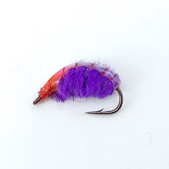 Czech Pill Bug Nymph