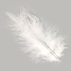 Down Feather