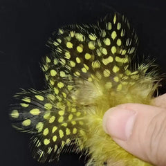 Spotted Feather-Mosquito Wing