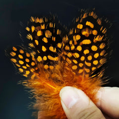 Spotted Feather-Mosquito Wing