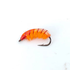 Czech Pill Bug Nymph