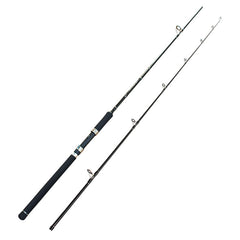2 pieces Long Casting Surf Spinning Rod