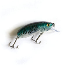 Slow-Sinking_Crankbait_blue