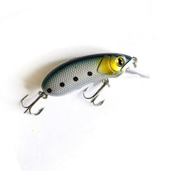 Slow-Sinking-Crankbait_silver